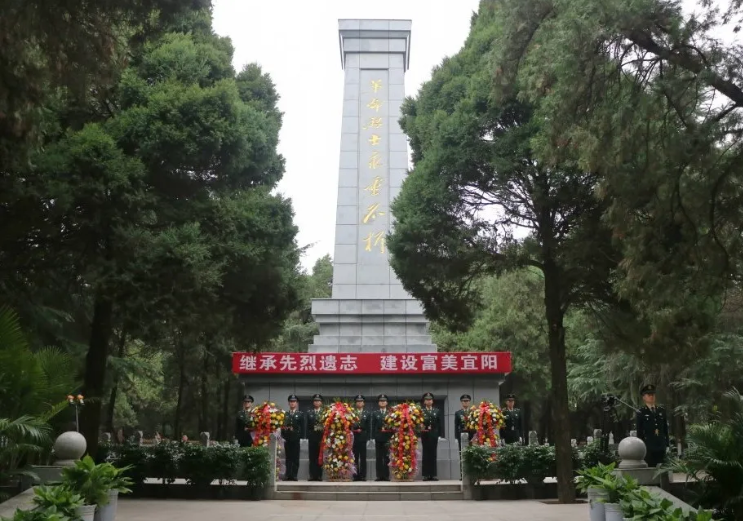 视频预览