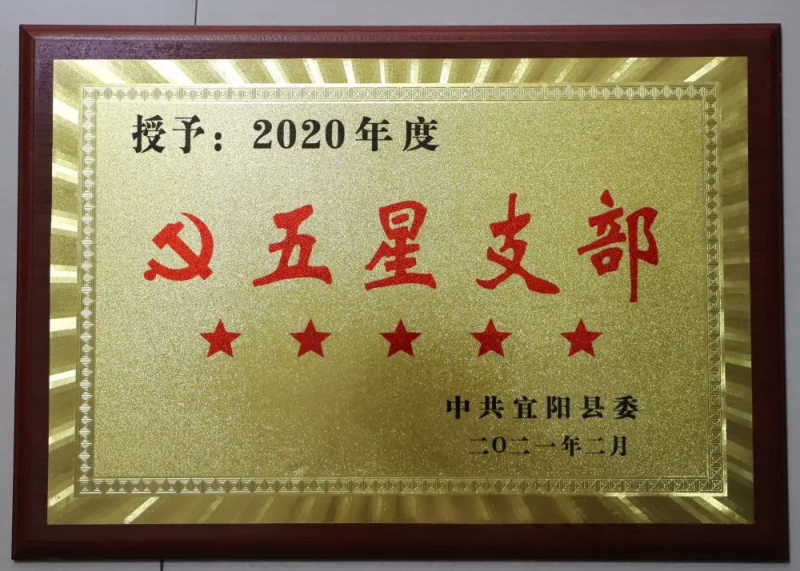 2020年度五星支部