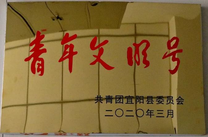 视频预览