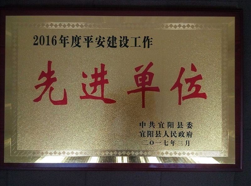 宜检荣誉