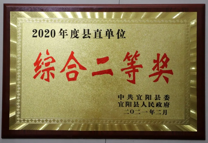 2020年度县直单位综合二等奖