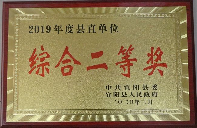 2019年度全县目标责任考核综合二等奖