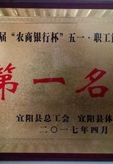 宜检荣誉
