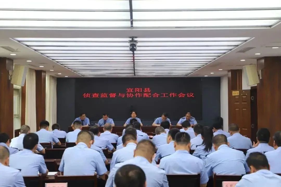 视频预览