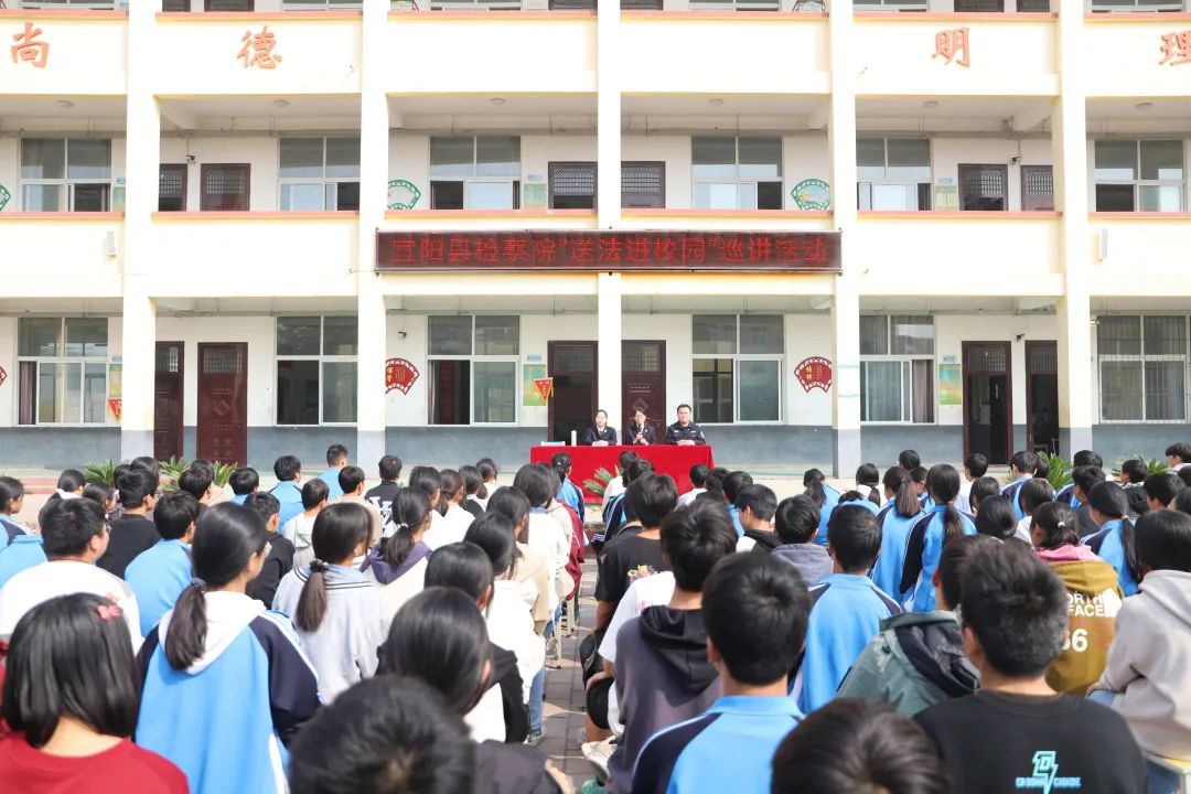 视频预览